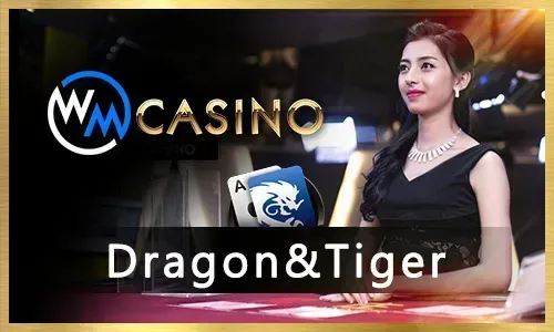 Experience the best online casino games at 33
